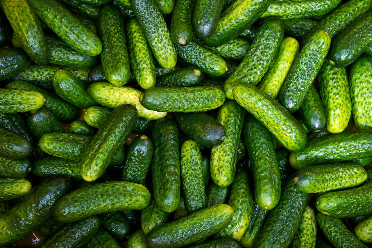 Pickle Power: Why Pickles Are the Best Thing Since Sliced Bread Pickle Power: Why Pickles Are the Best Thing Since Sliced Bread